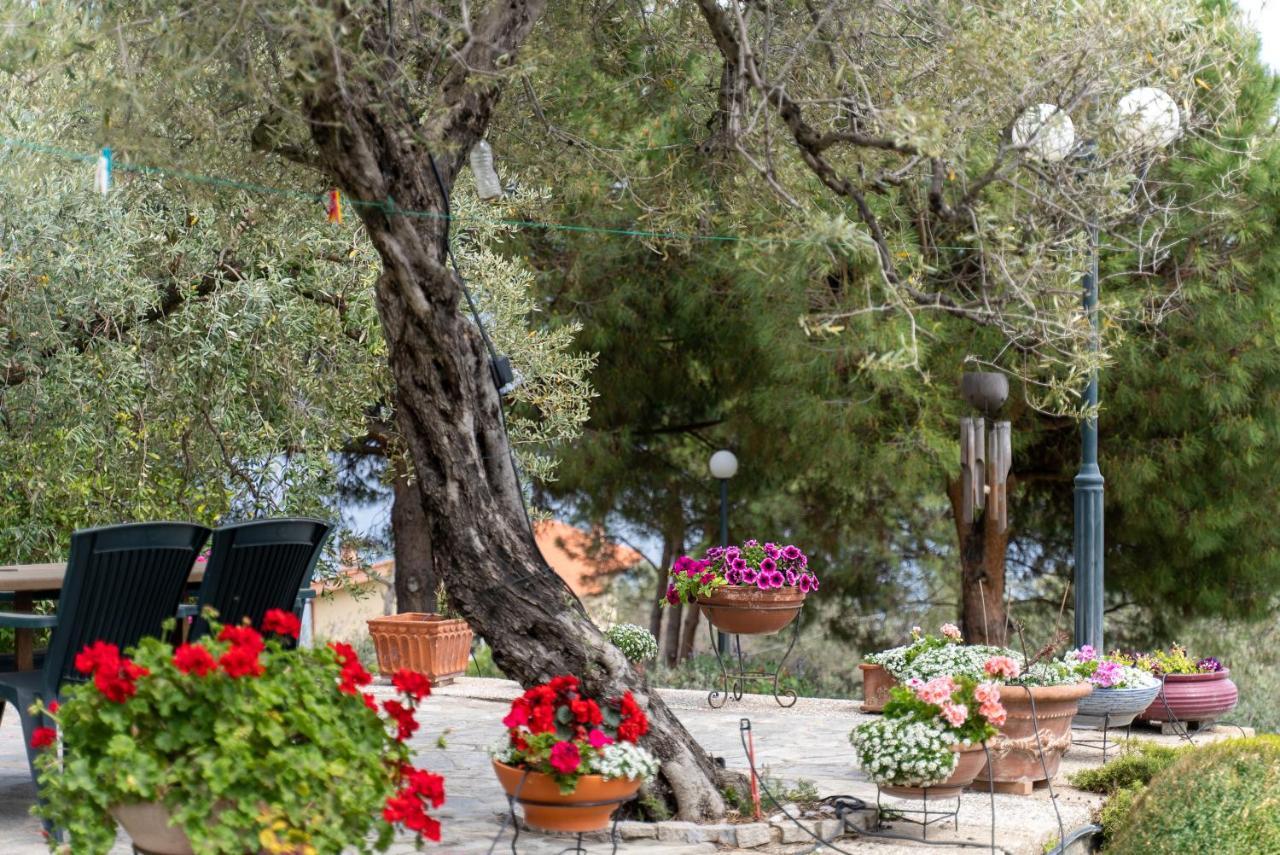 Villa Elia Kavala - Mediterranean Holiday Villa Палеон-Цифликион Экстерьер фото